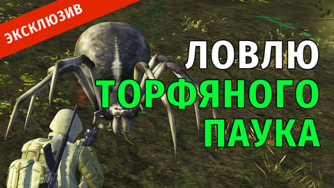 37. На Караван! Ловлю Торфяного Паука