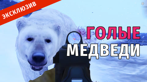 41. Голые Медведи или Куда делись Шкуры?