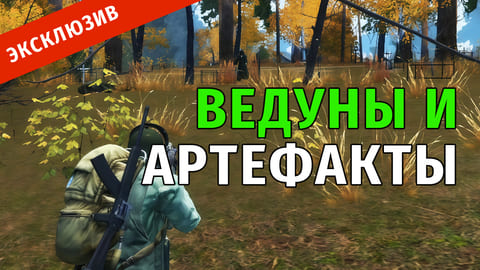 Stay Out | 48. Ведуны и Артефакты в Чёрном Лесу