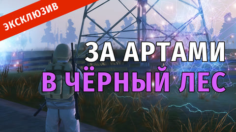 Stay Out | 59. За Артами в Чёрный Лес