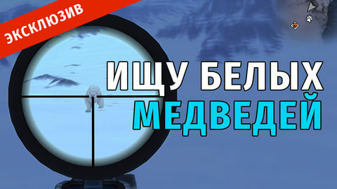 Stay Out | 70. Ищу Белых Медведей