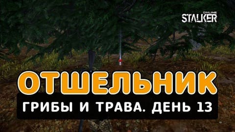 Отшельник. Сталкер Онлайн. Грибы и Трава. День 13