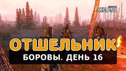 Отшельник. Сталкер Онлайн. Боровы. День 16