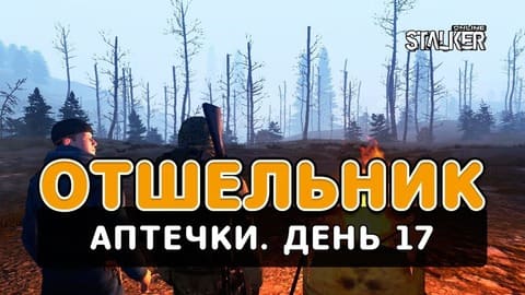 Отшельник. Сталкер Онлайн. Аптечки. День 17
