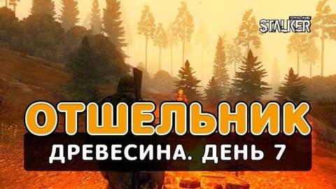 Отшельник. Сталкер Онлайн. Древесина. День 7