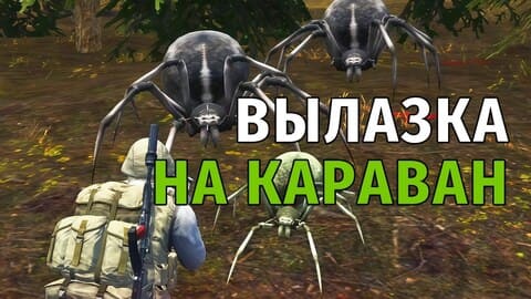 105. Вылазка на Караван. Ведуны и Торфяные Пауки