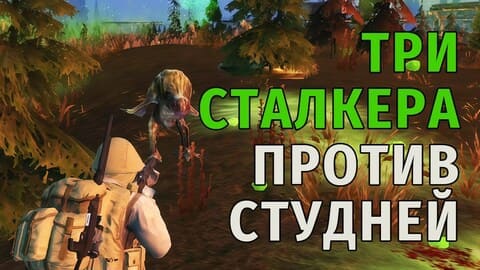 113. Три сталкера против Студней