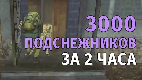 140. 3000 подснежников за 2 часа