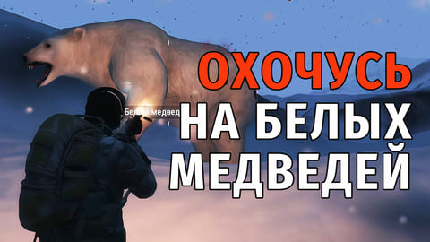 187. Охочусь на Белых Медведей