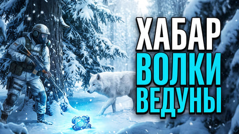 Stay Out | 205. Хабар, Волки, Ведуны