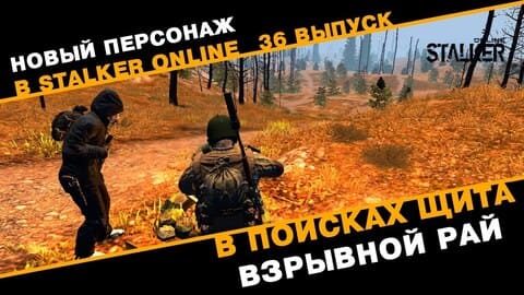 36. В поисках щита. Взрывной рай